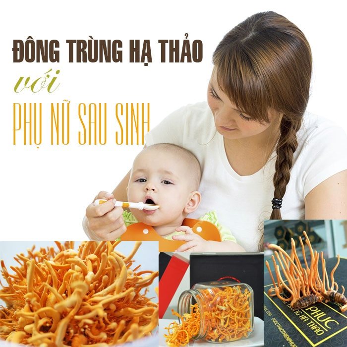 phụ nữ uống đông trùng hạ thảo có tốt không-7