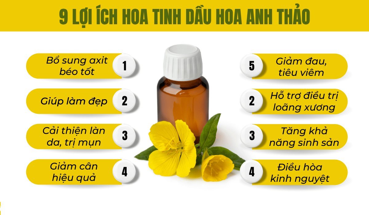 Tinh dầu hoa anh thảo-4