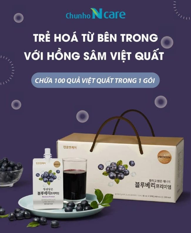 Hồng sâm Việt quất -2